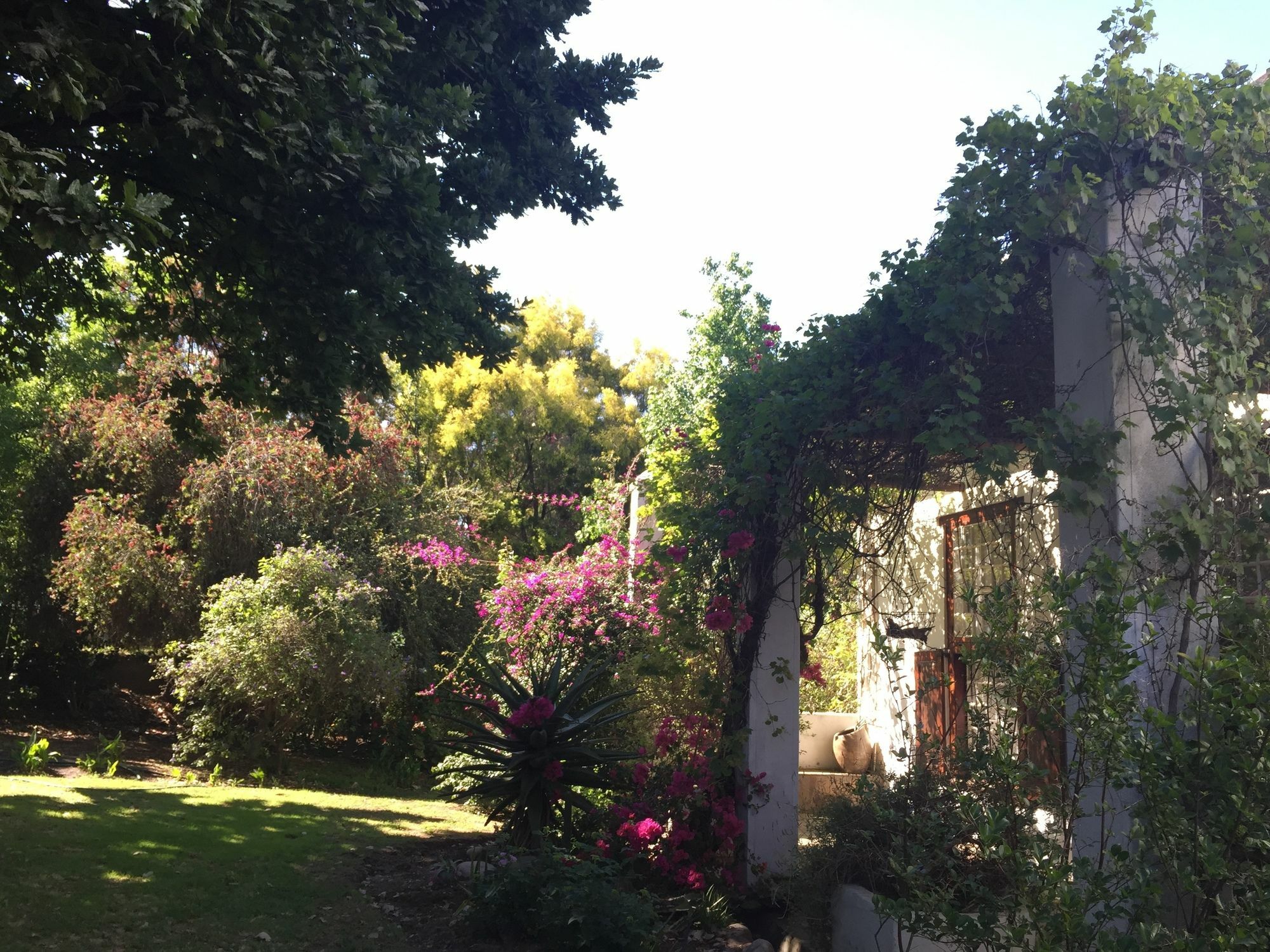 Wittedrift Manor House Hotel Tulbagh Buitenkant foto